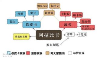 從咖啡香氣到創(chuàng)業(yè)藍(lán)圖 樓波音的孵化器管理智慧